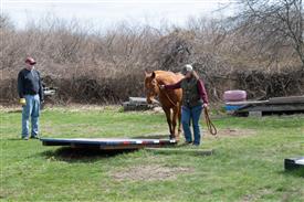 LR-WRF 0402026 Retreat-3545